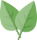 穿越千山万水 梦回《古道茶魂》