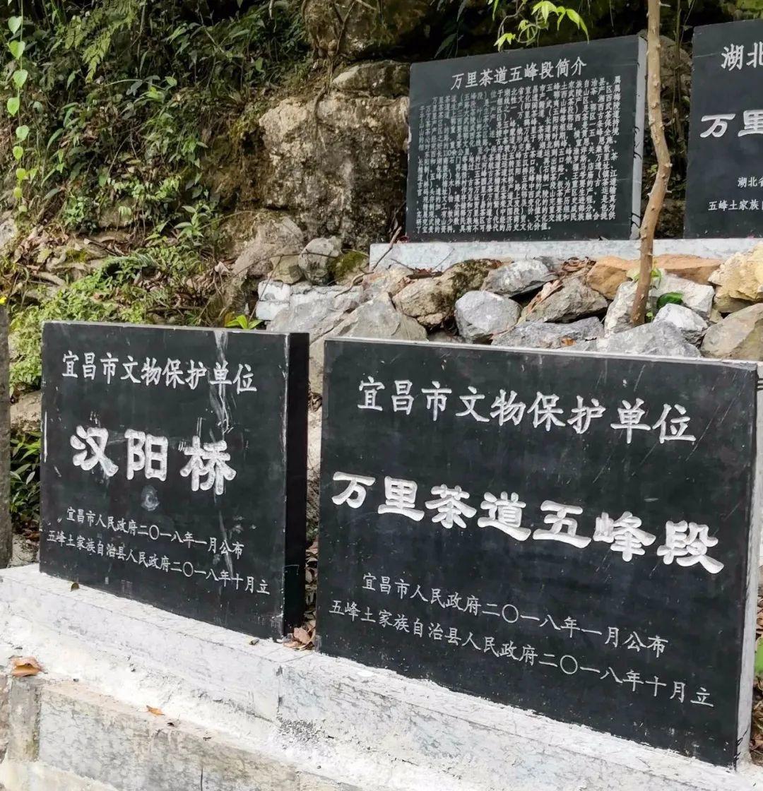 万里茶道话沧桑